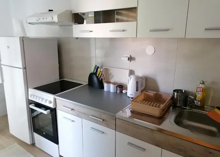 아파트 Bogdanovic 소코 반자