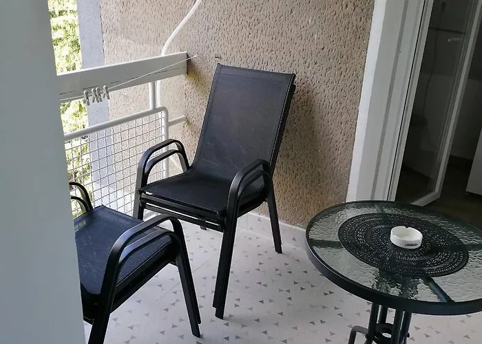 Bogdanovic 소코 반자